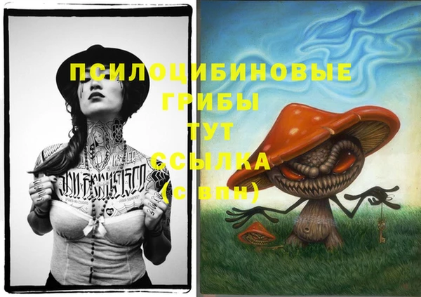 apvp Аркадак