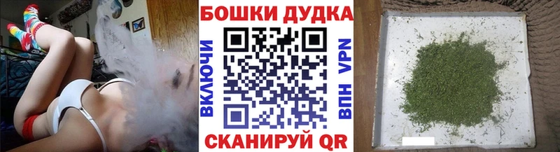 Каннабис OG Kush  закладка  Сосновка 